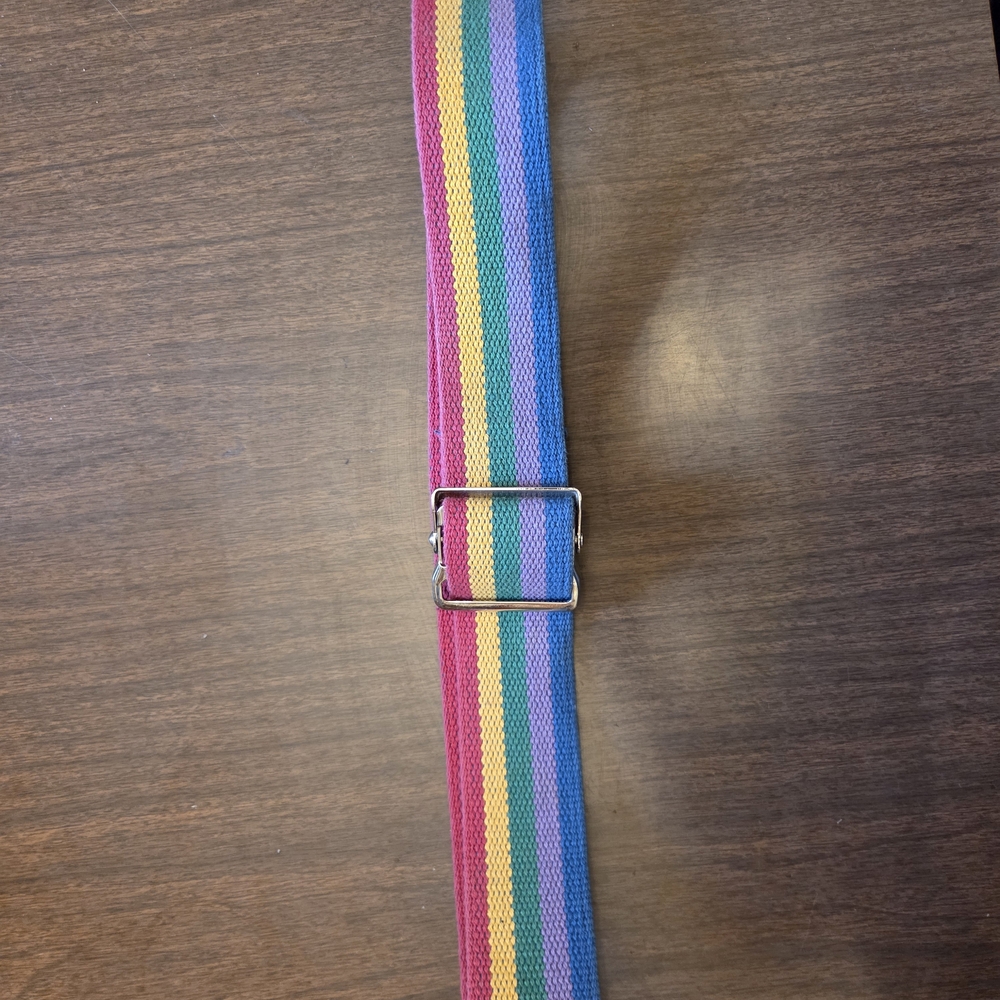 Rainbow Stripe Women's Fabric Belt - Multicolor